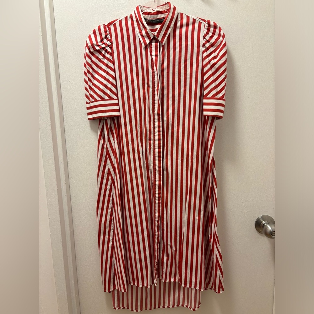 Zara dress